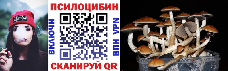 кракен как войти  Заречный  Галлюциногенные грибы Psilocybine cubensis 